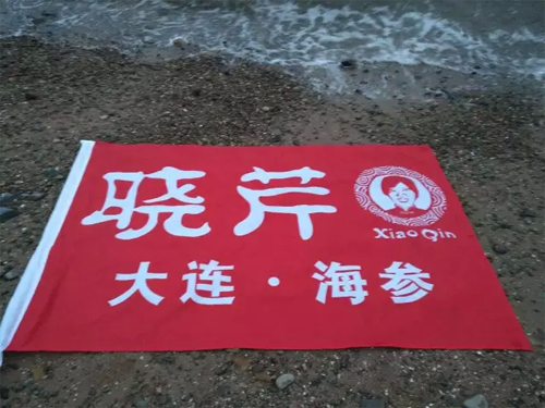 曉芹,海參,,曉芹海參,大連海參,曉芹二十周年